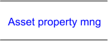 Asset property mng